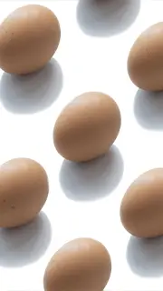 تخم-مرغ-نطفه-دار-1