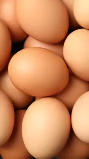 تخم-مرغ-نطفه-دار-2
