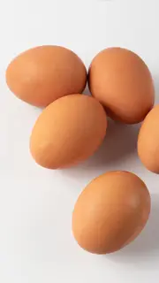 تخم-مرغ-نطفه-دار-3