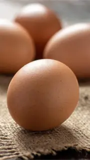 تخم-مرغ-نطفه-دار-5